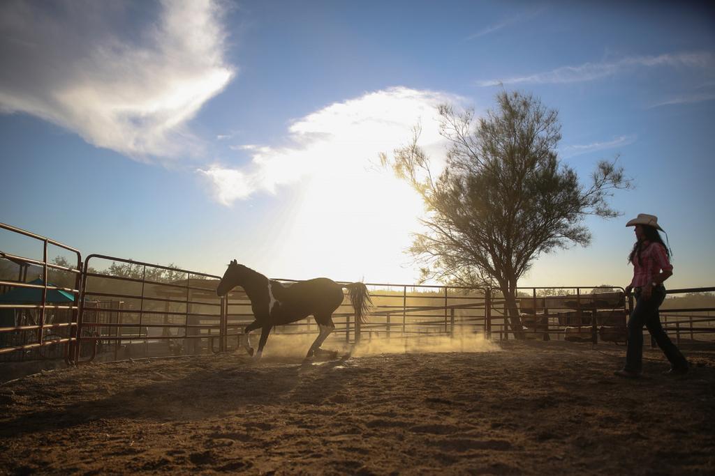 Tanque Verde Guest Ranch Tucson Exterior photo