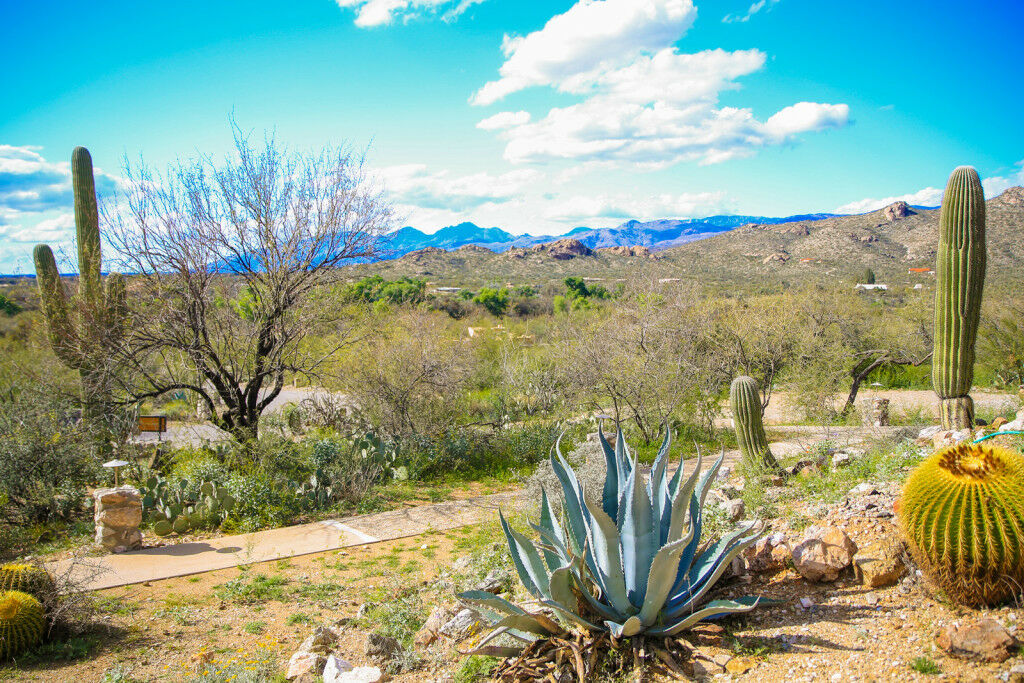 Tanque Verde Guest Ranch Tucson Exterior photo